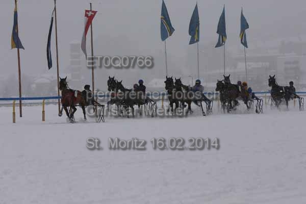 ET0Q0766 prot